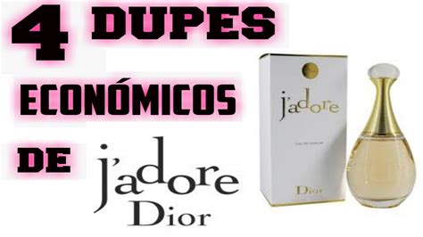 dupe j'adore dior action|50 Best Dupes for J'adore Parfum d'Eau by Dior .